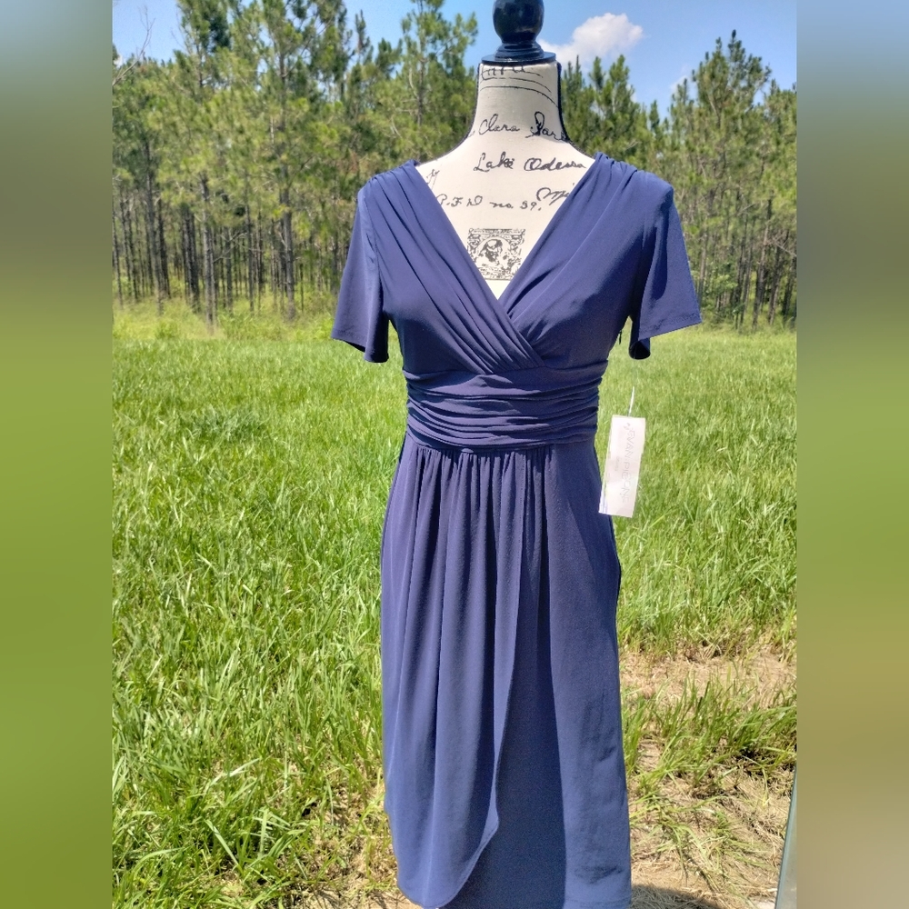 Evan-Picone Dress